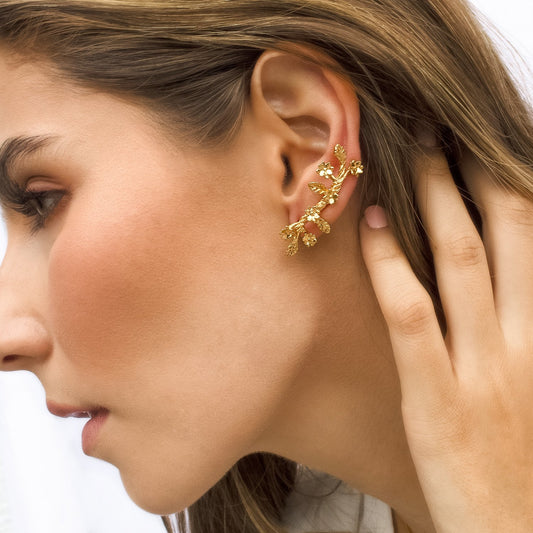 ARETE CLAVEL