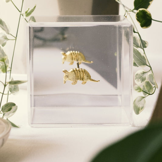 DECO ARMADILLO CUBE
