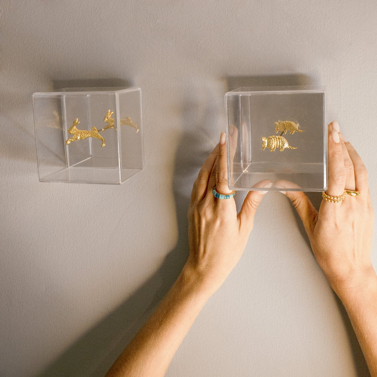 DECO ARMADILLO CUBE