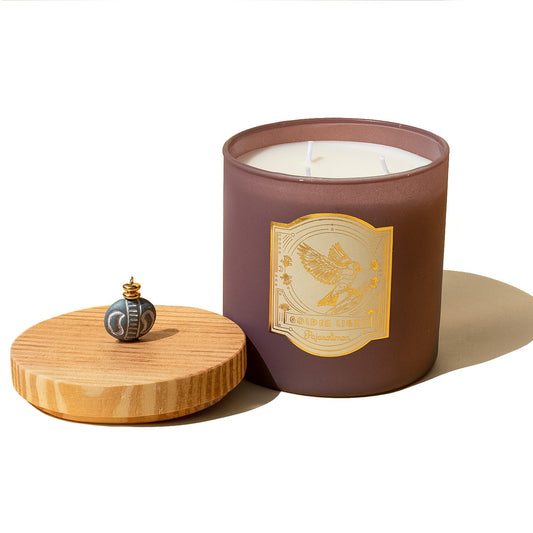 BRISA MARINA CANDLE 500g