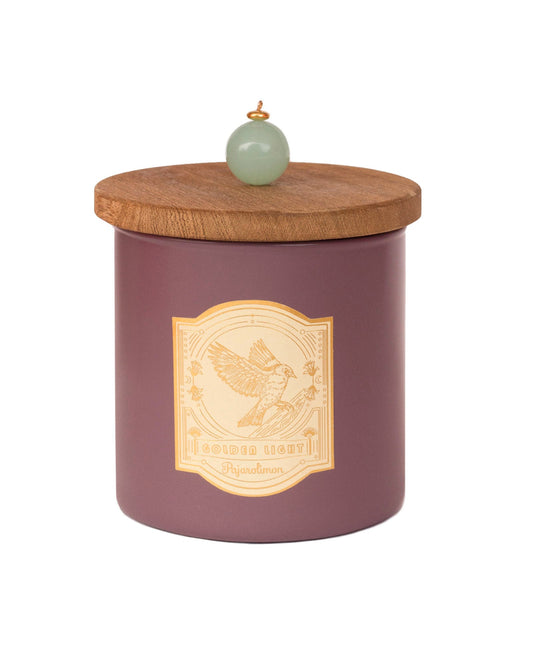 BRISA MARINA CANDLE 500g