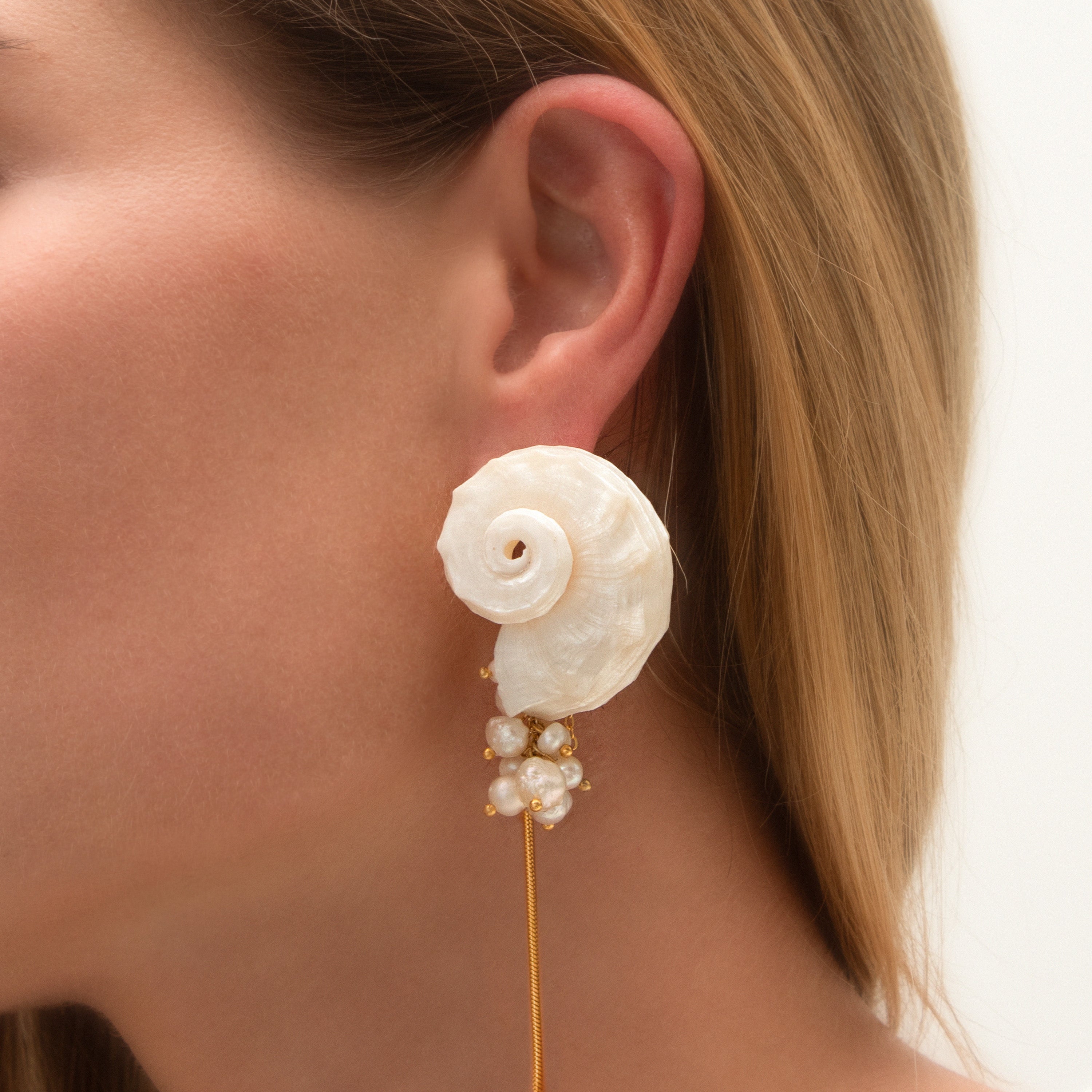 ARETES BRISYA