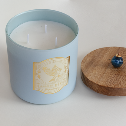 BOSQUE HÚMEDO CANDLE 500