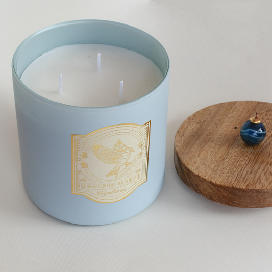 BOSQUE HÚMEDO CANDLE 500
