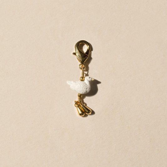 BIRD CHARM - Pajarolimon Colombia