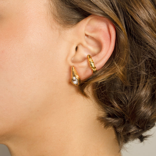 FUNGUS STUDS