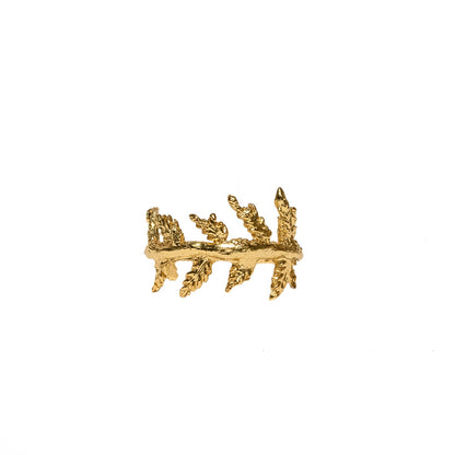 CLIMBING PLANT RING