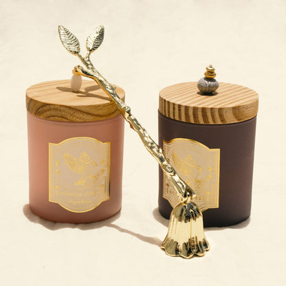 BIG CANDLE SNUFFER