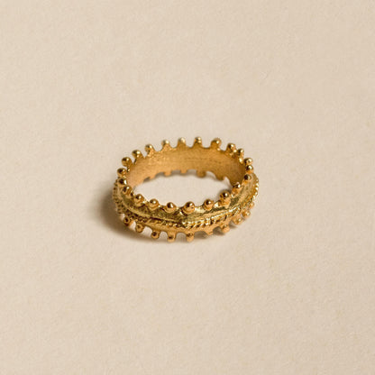 ANILLO AQUILES - Pajarolimon Colombia