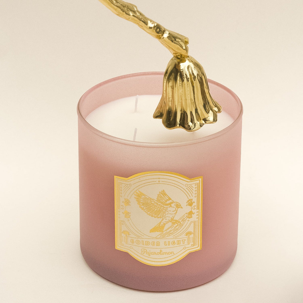 BIG CANDLE SNUFFER