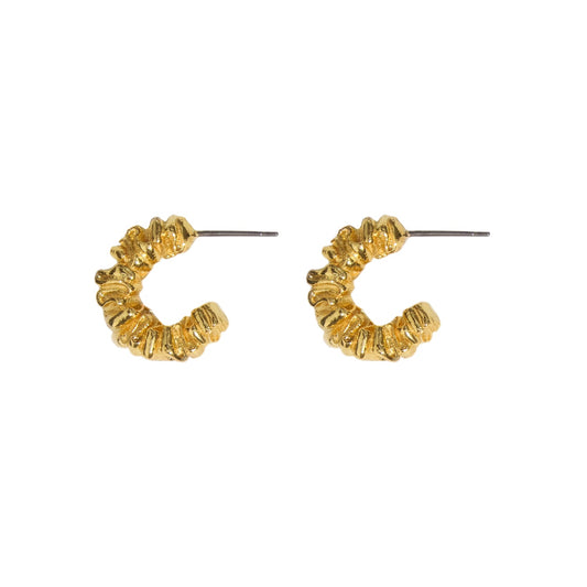 ARGARICUS HOOPS