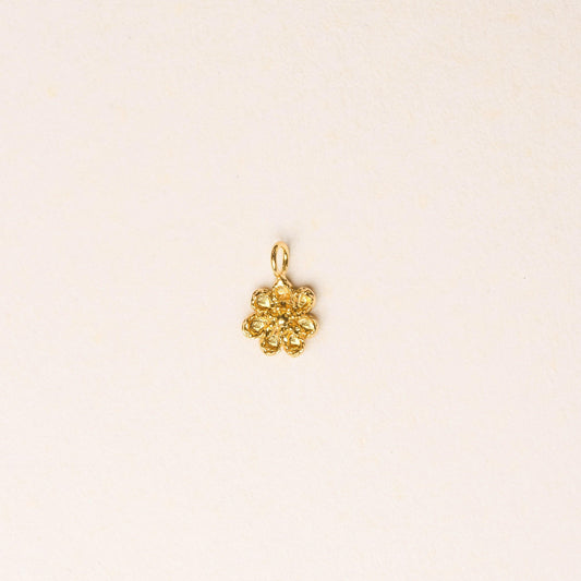 OSIRIS CHARM - Pajarolimon Colombia