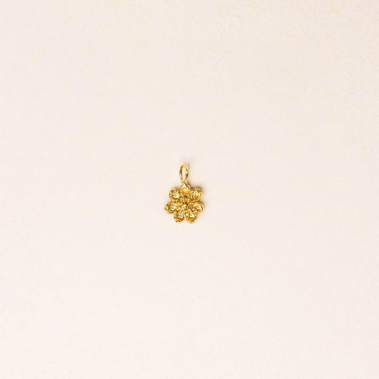 MINI OSIRIS CHARM - Pajarolimon Colombia