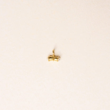 MINI ODI CHARM - Pajarolimon Colombia