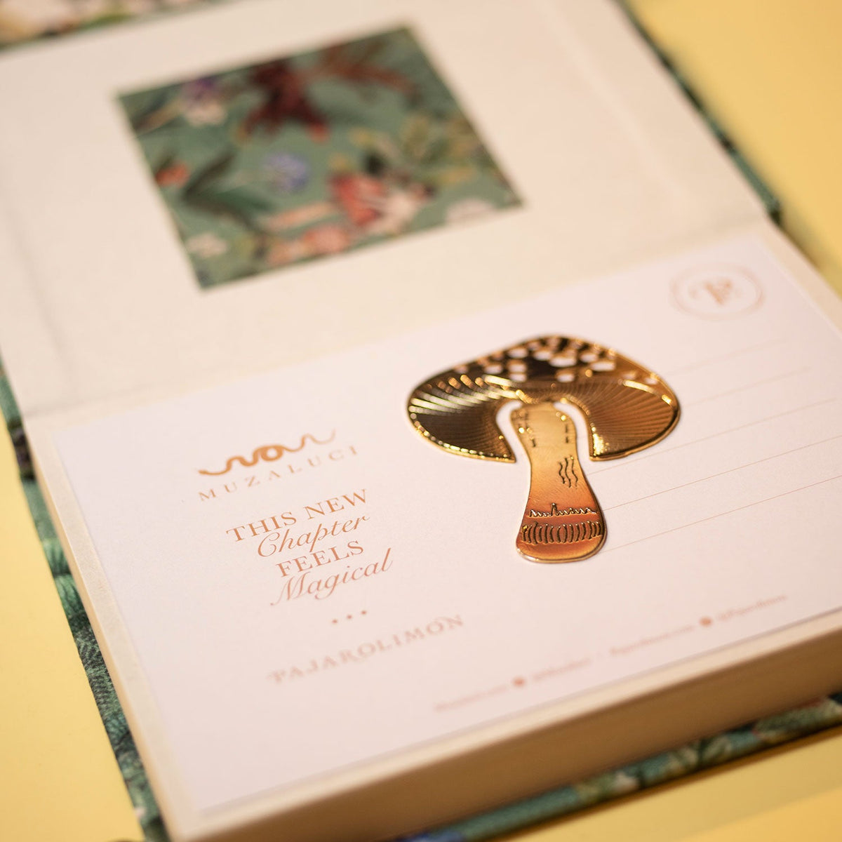 TREASURE DIARIES FOX